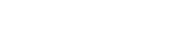 Layer